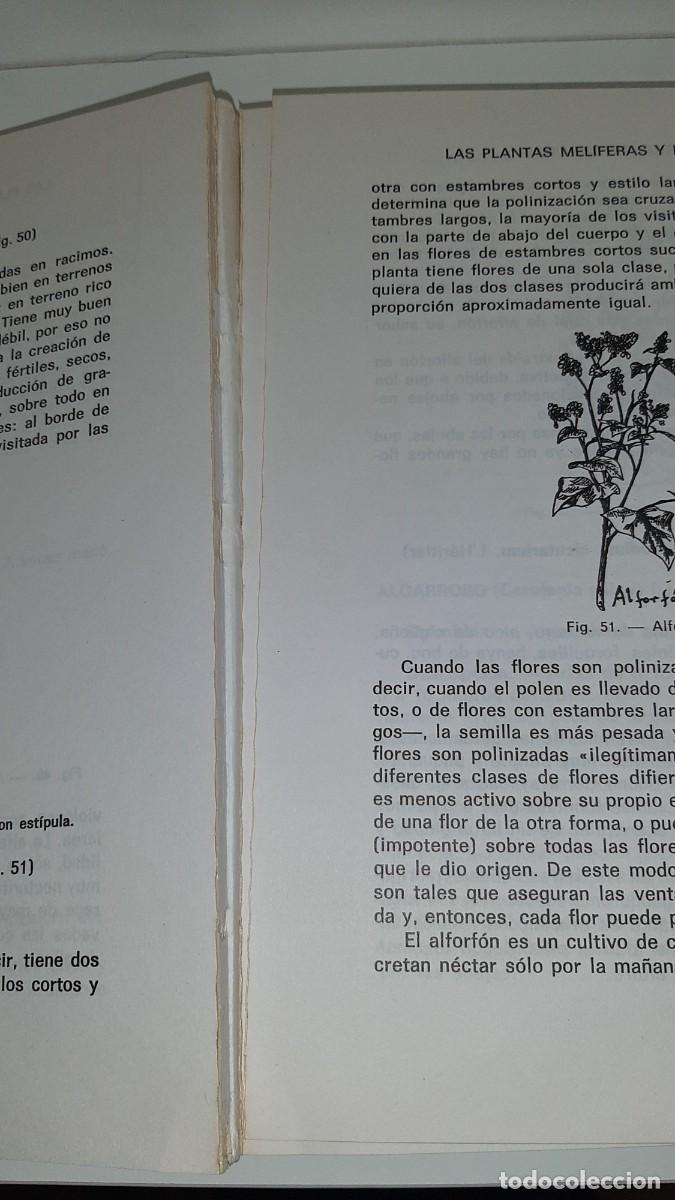 Libros: LAS PLANTAS MEL&Iacute;FERAS Y LA ALIMENTACION DE LAS ABEJAS - Foto 4
