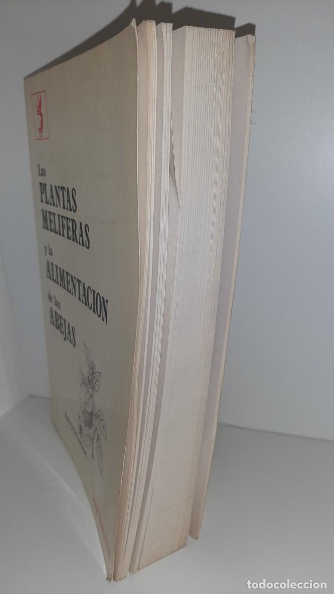 Libros: LAS PLANTAS MEL&Iacute;FERAS Y LA ALIMENTACION DE LAS ABEJAS - Foto 5