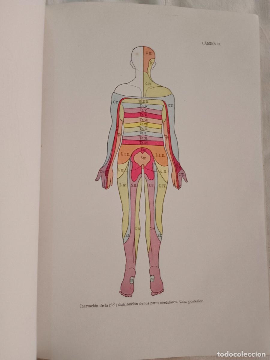 Libros: GINECOLOGIA OPERATORIA - A. Doderlein - B. Kronig - Foto 3