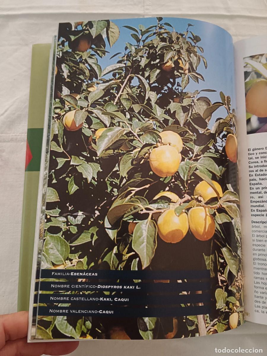 Libros: FRUTAS Y HORTALIZAS DE LA COMUNIDAD VALENCIANA - VV.AA. - Foto 2