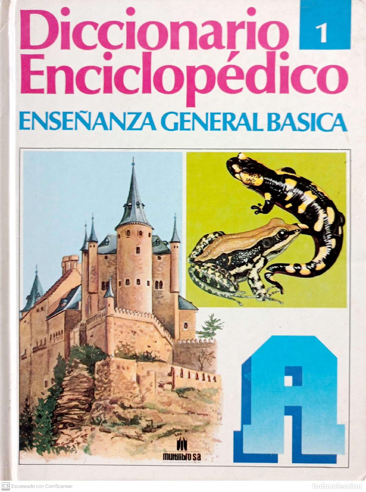 Libros: Diccionario enciclop&eacute;dico, 1: a- Apia - Foto 1