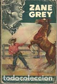 Libros: EL VALLE DE LOS CABALLOS SALVAJES - Foto 1