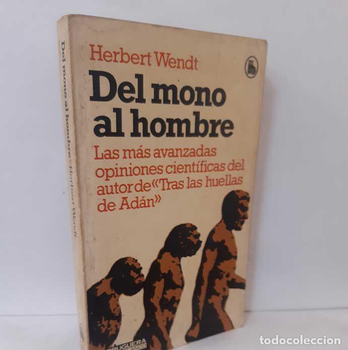 Libros: DEL MONO AL HOMBRE - WENDT, HERBERT - Foto 1