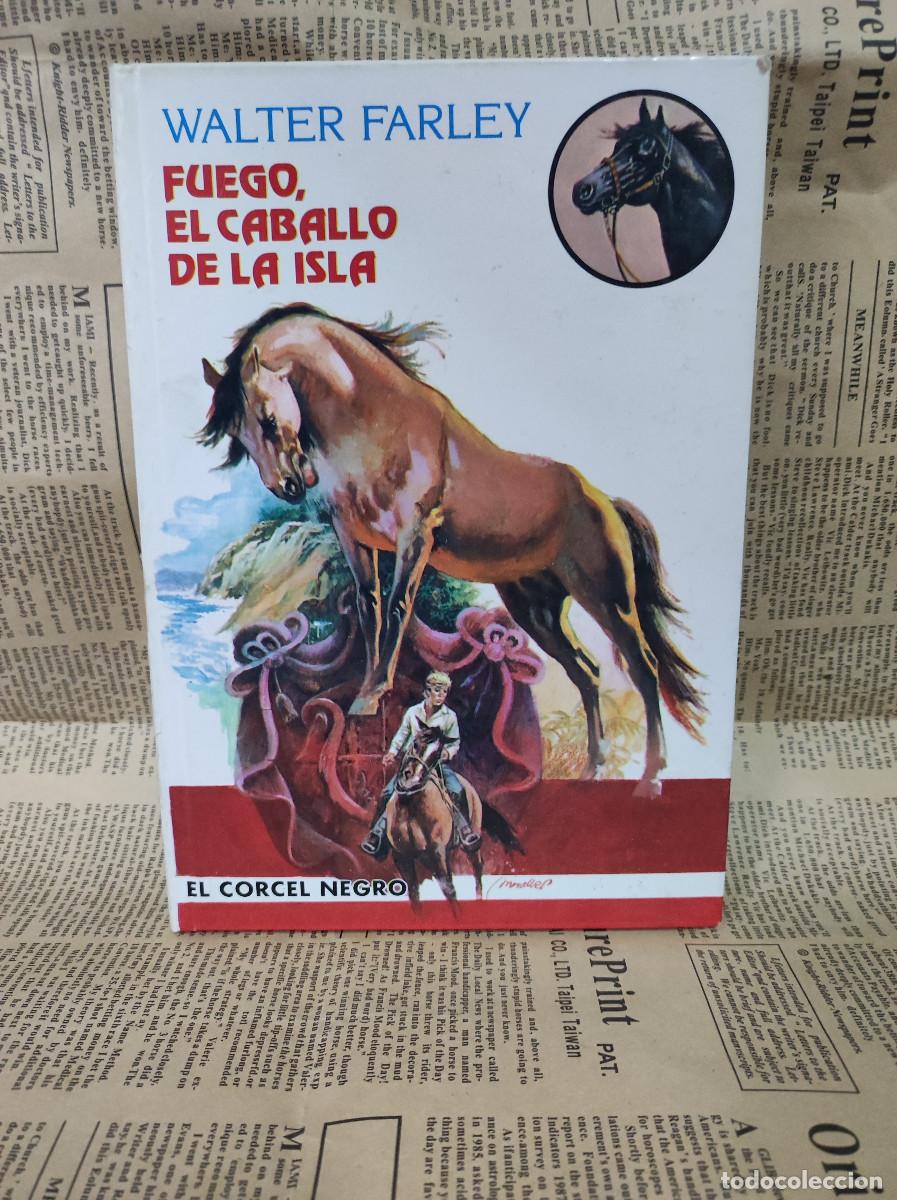 Libros: WALTER FARLEY FUEGO, EL CABALLO DE LA ISLA - Foto 1