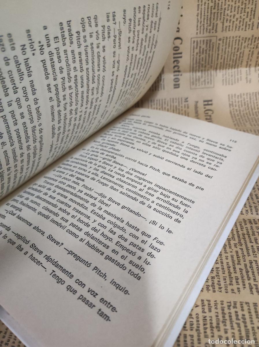 Libros: WALTER FARLEY FUEGO, EL CABALLO DE LA ISLA - Foto 3
