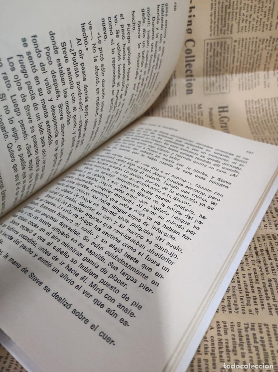 Libros: WALTER FARLEY FUEGO, EL CABALLO DE LA ISLA - Foto 4