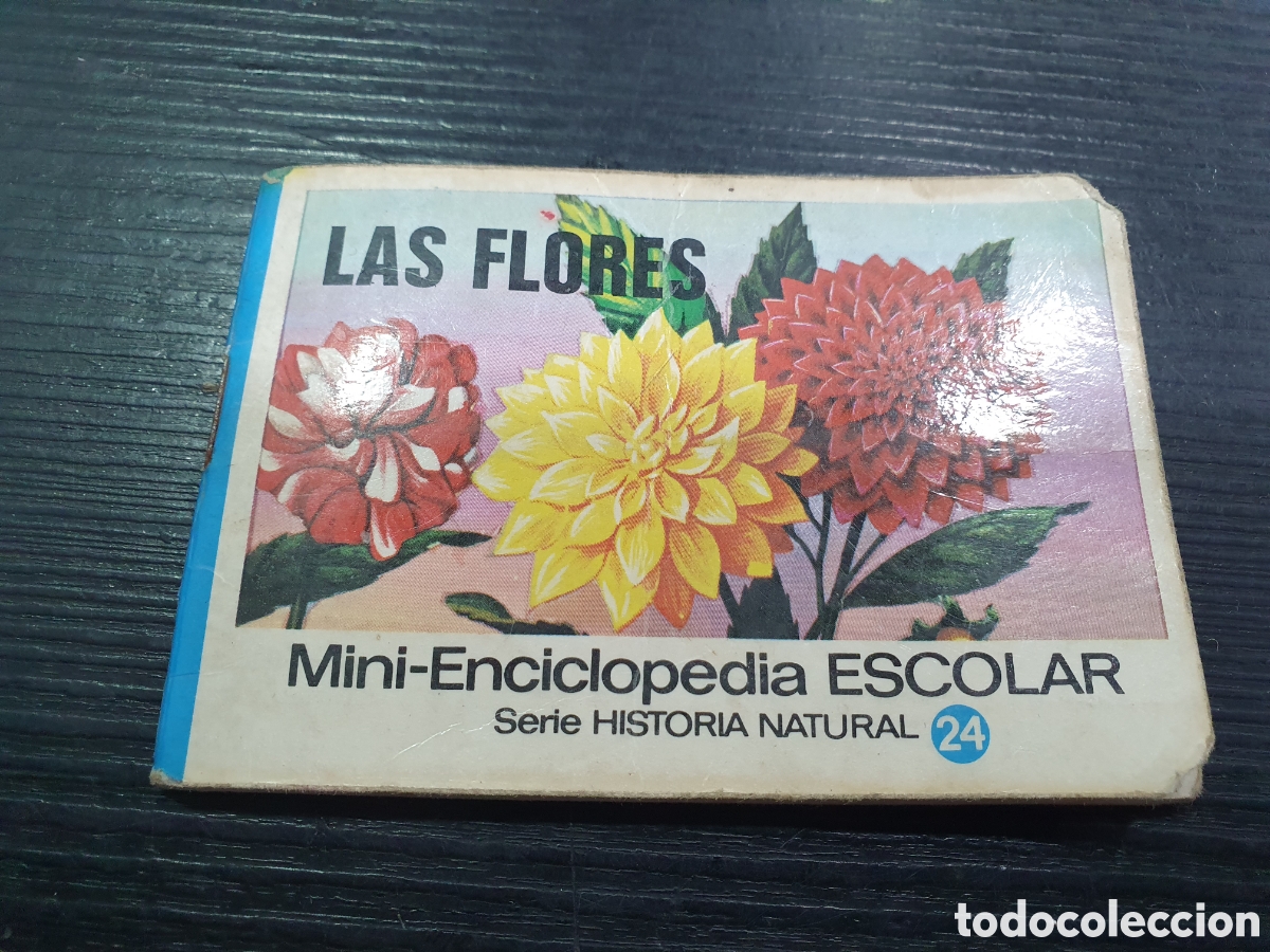 Libros: Mini enciclopedia escolar. Bruguera. (L58) - Foto 1