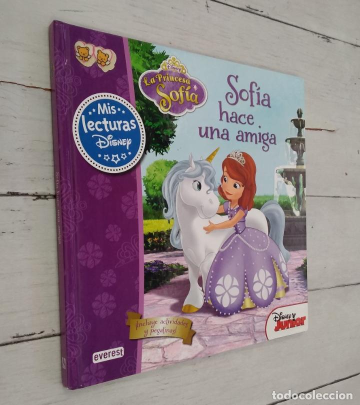 Libros: Sof&iacute;a hace una amiga (con las pegatinas) - vvaa - Foto 1