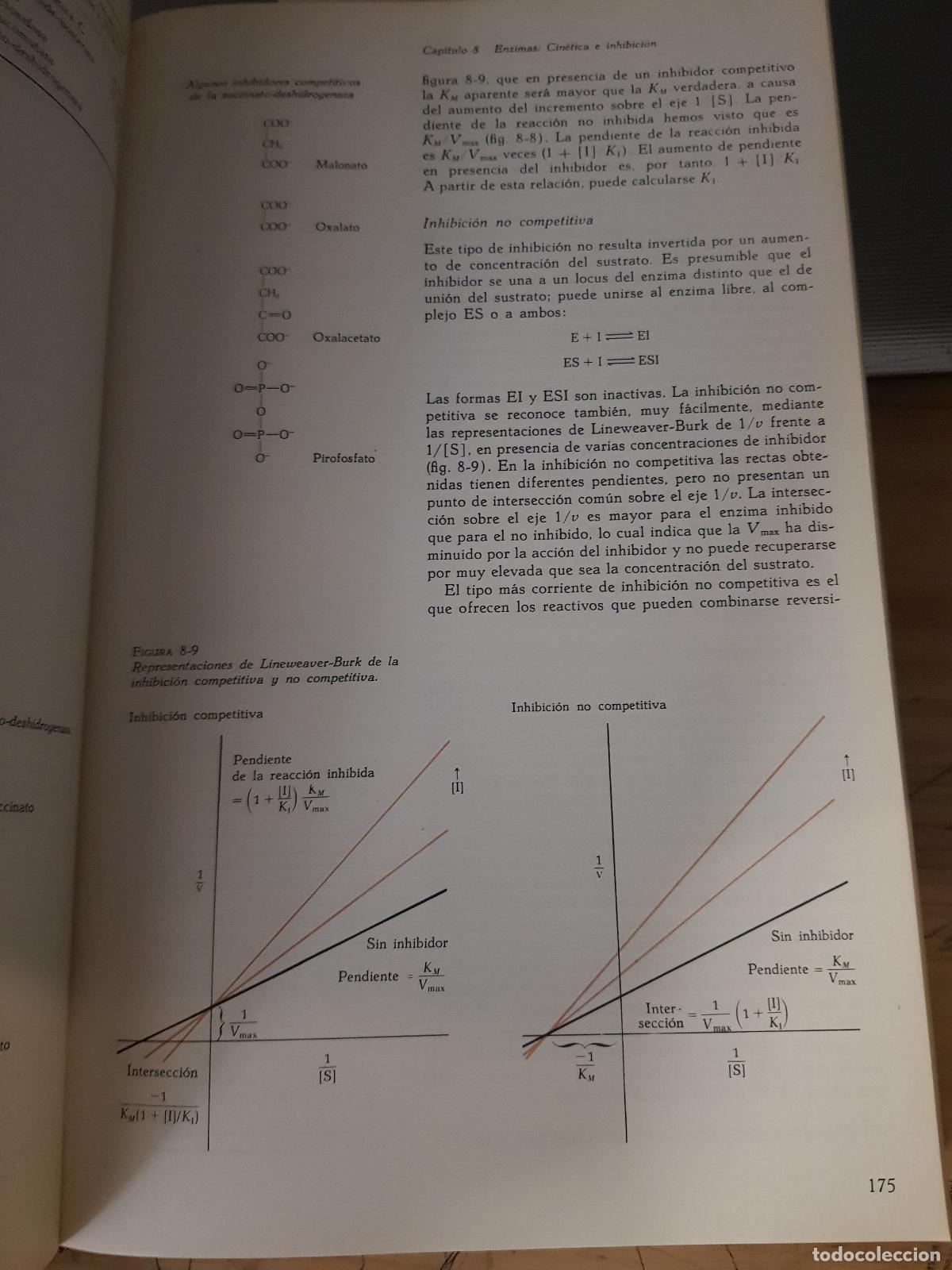 Libros: Bioqu&iacute;mica. Las bases moleculares de la estructura y funci&oacute;n celular - Foto 3