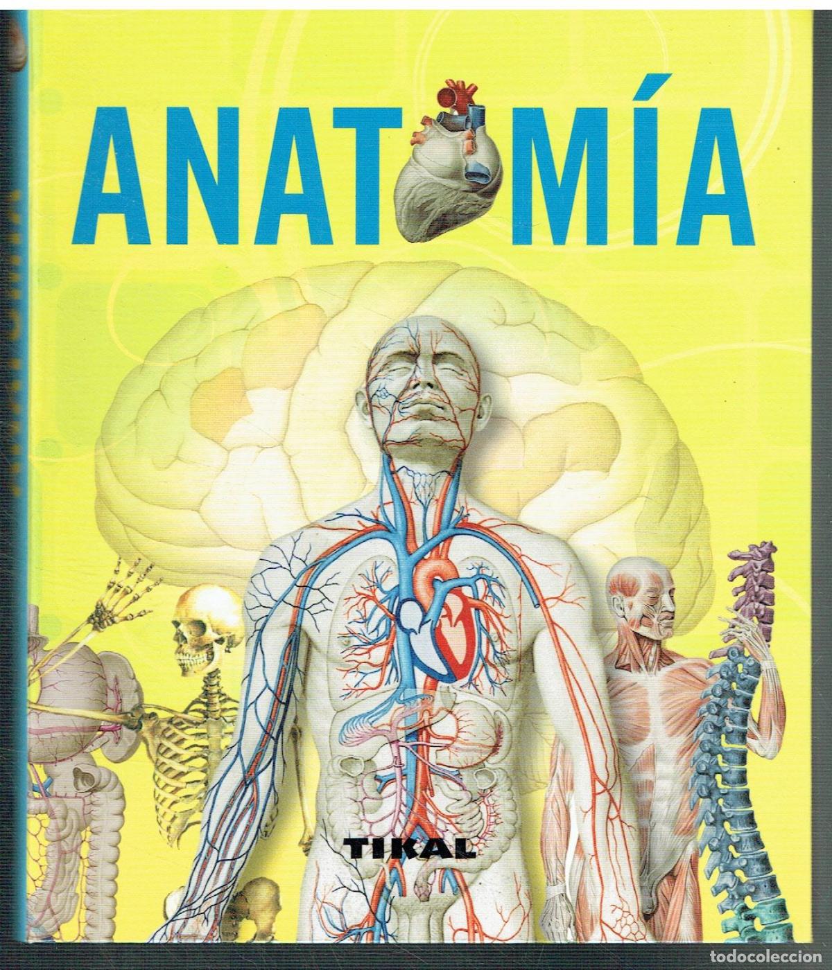 Libros: Adriana Rigutti (textos) - Atlas de Anatom&iacute;a - Foto 1