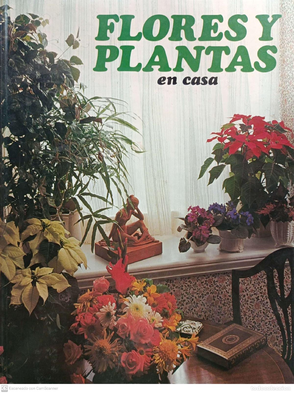 Libros: Flores y plantas en casa - Violet Stevenson - Foto 1