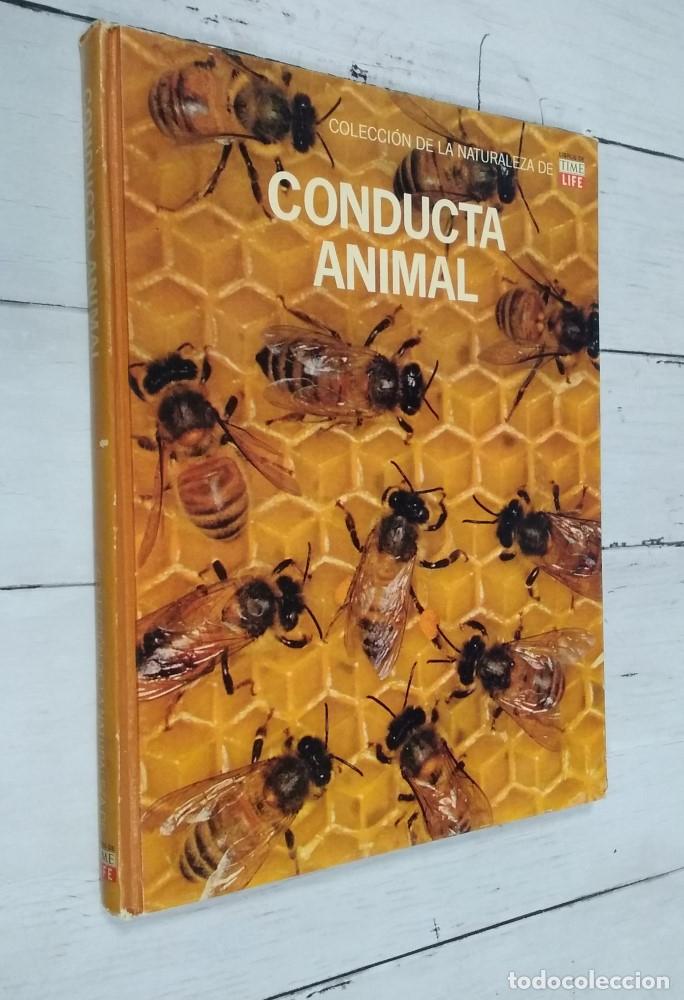 Libros: Conducta animal - vvaa - Foto 1