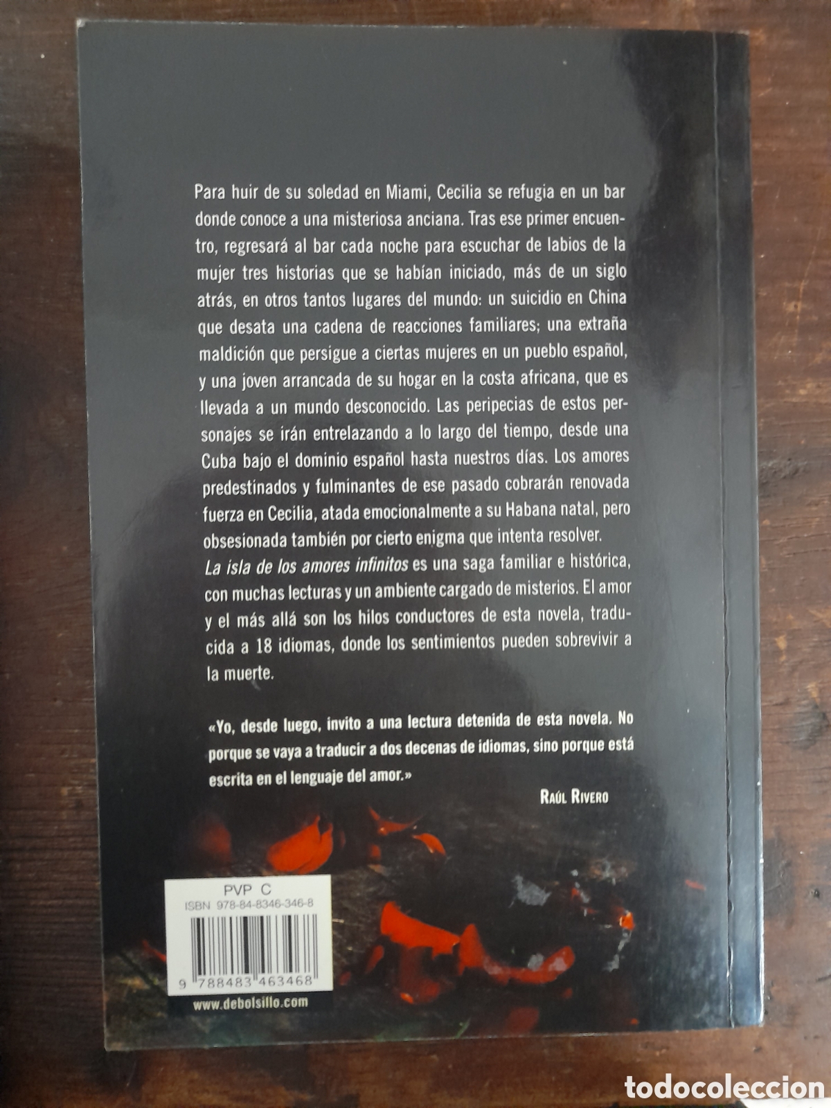 Libros: La Isla de los Amores Infinitos, Da&iacute;na Chaviano - DEBOLSILLO 2007 - Foto 3