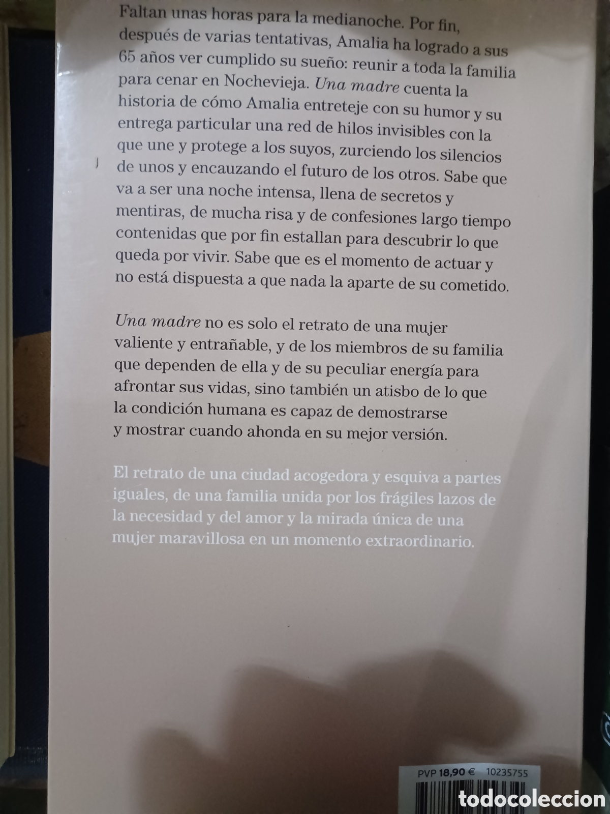 Libros: Barybook 140. Una madre Alejandro palomas destino - Foto 2