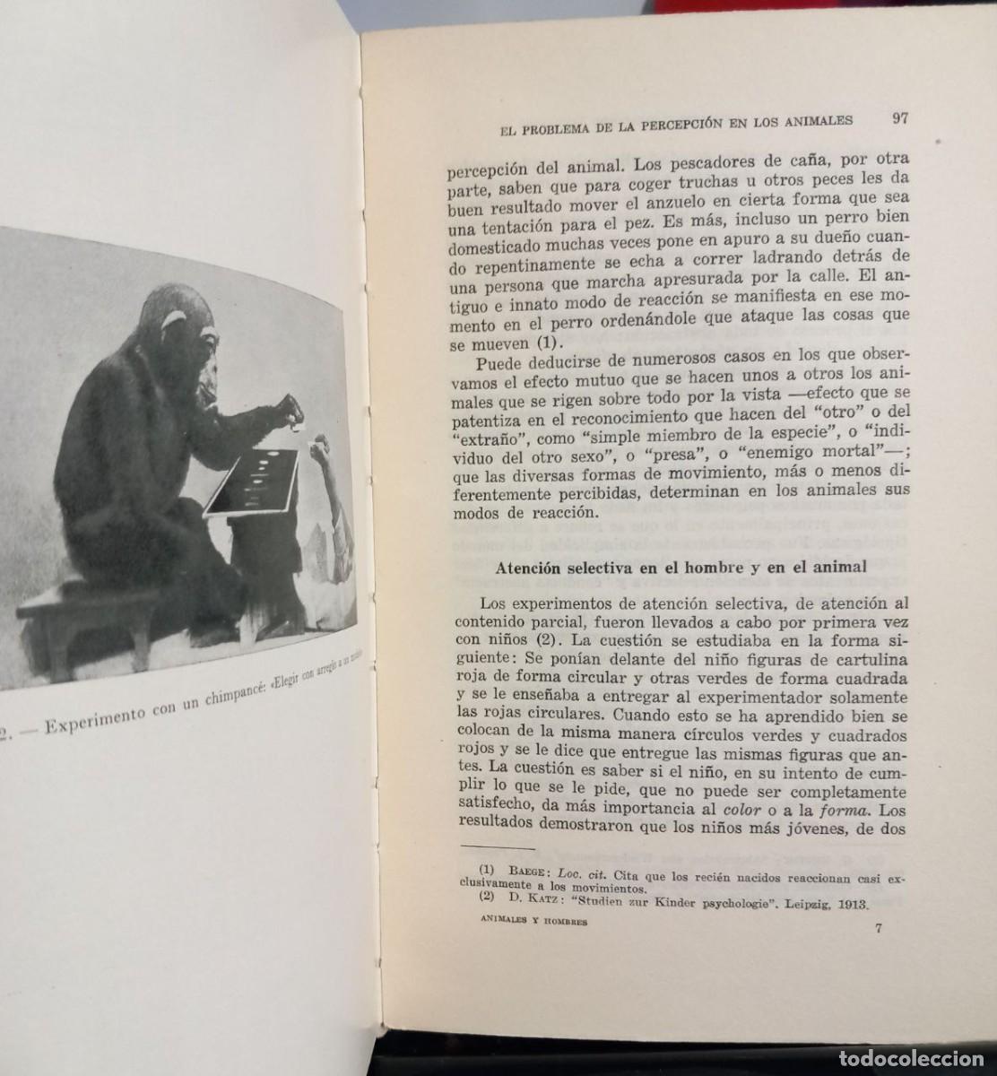 Libros: Animales y hombres. Estudios de psicolog&iacute;a comparada. - KATZ, David: - Foto 4