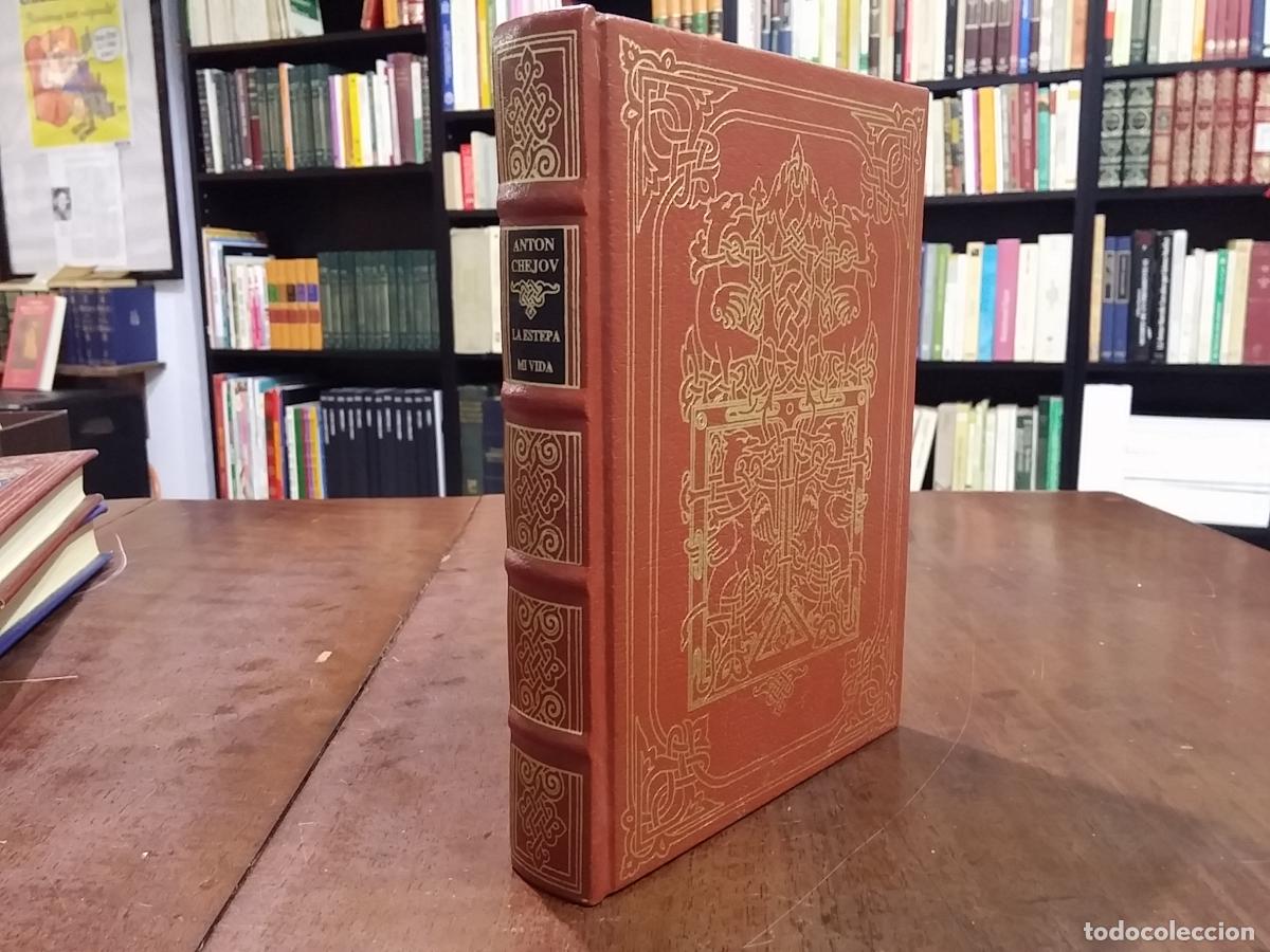 Libros: La estepa/Mi vida - Ant&oacute;n P. Chejov - Foto 1