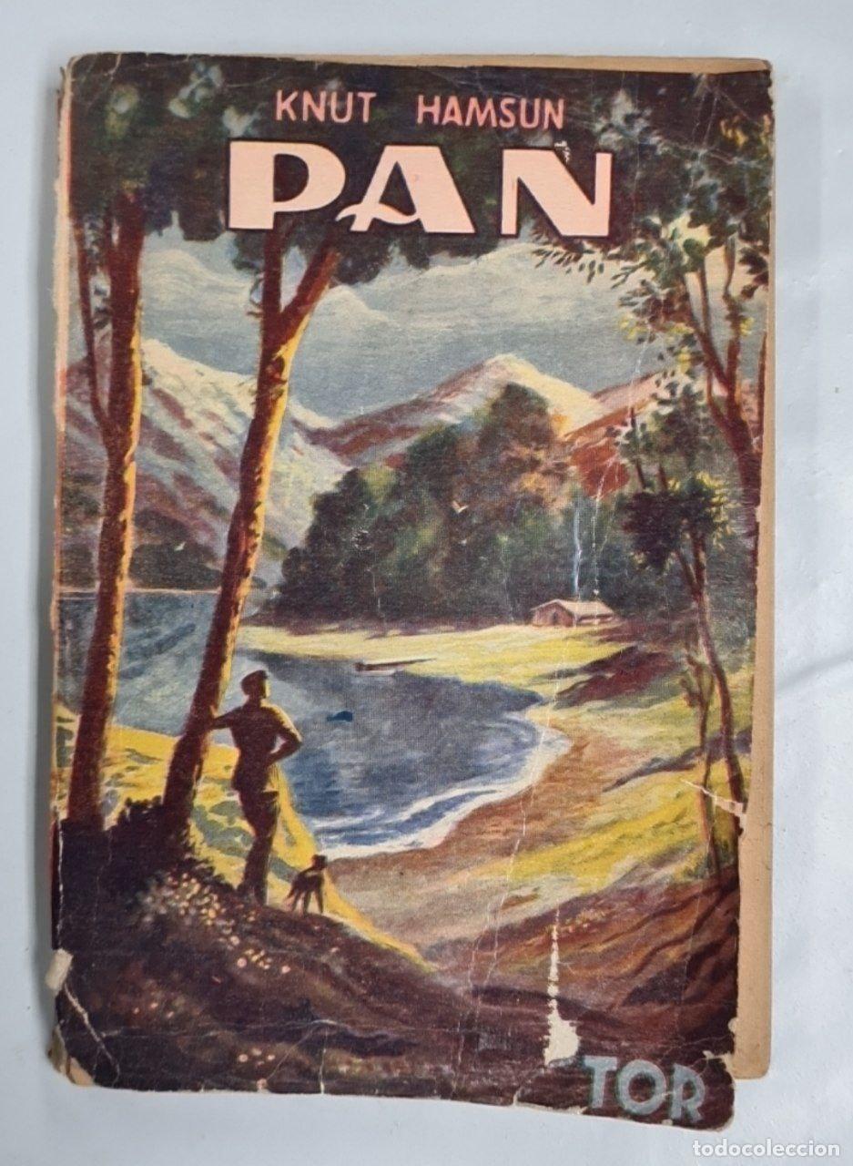 Libros: PAN - Foto 1