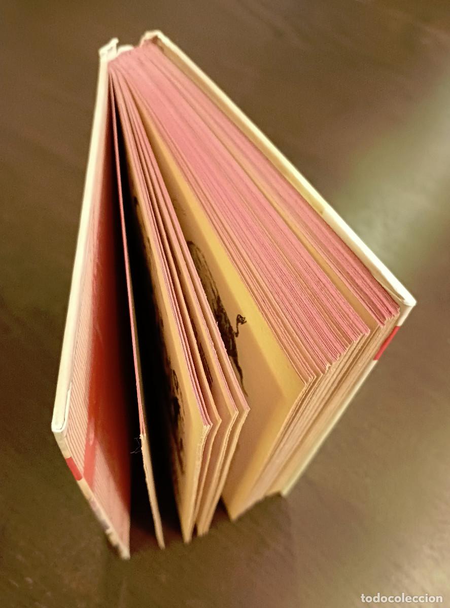 Libros: La cazadora de cabelleras. Emilio Salgari. - Foto 7