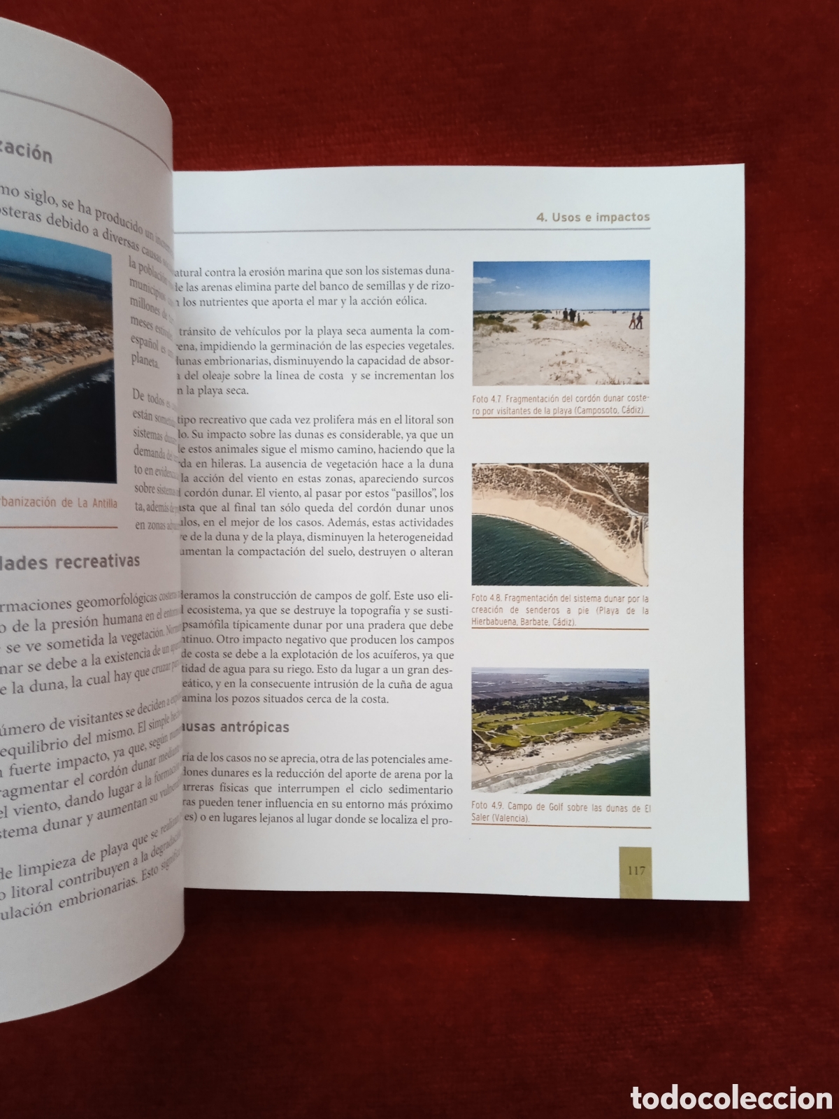 Libros: Manual de restauraci&oacute;n de dunas costeras - Foto 8