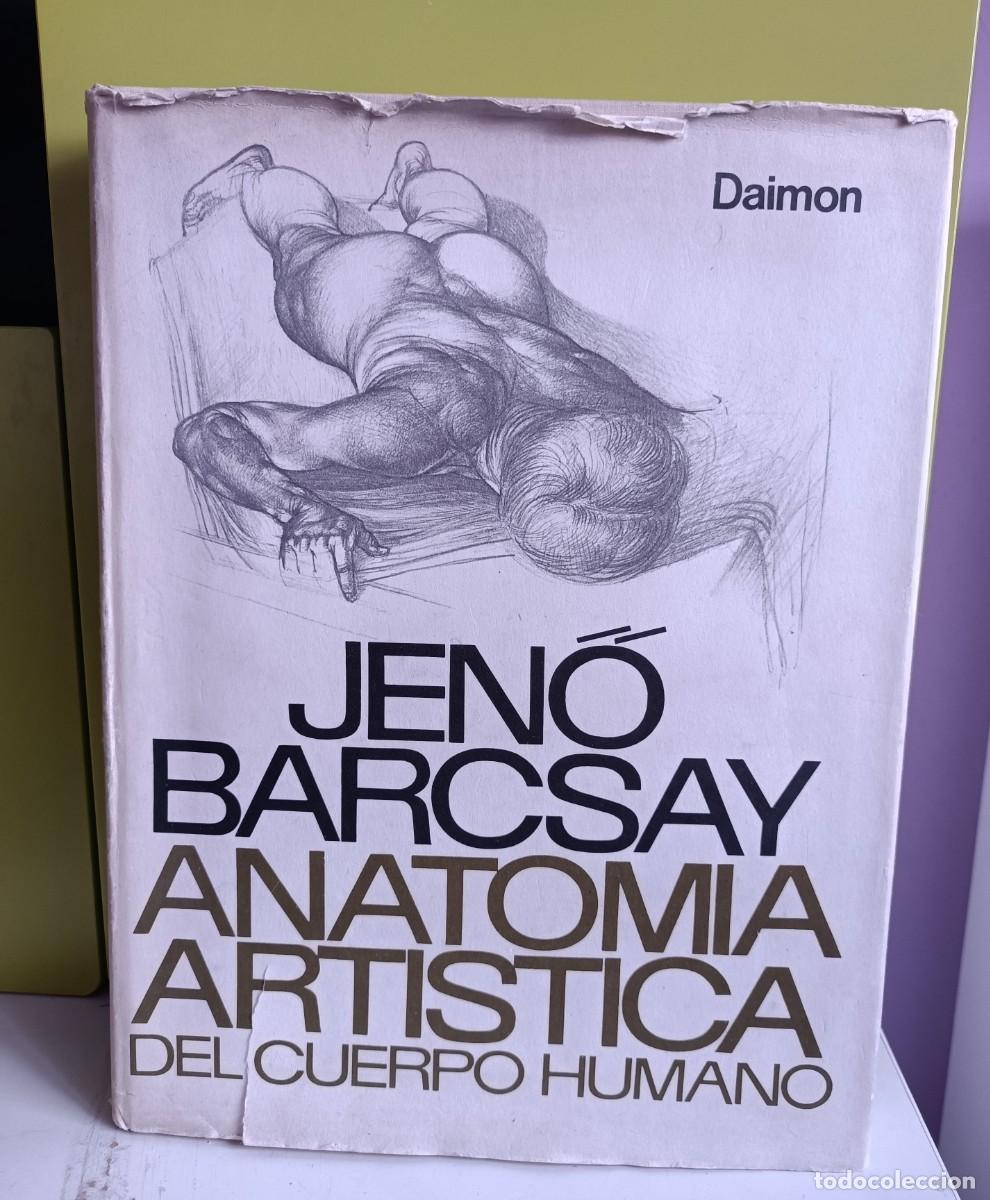 Anatomía Artística
