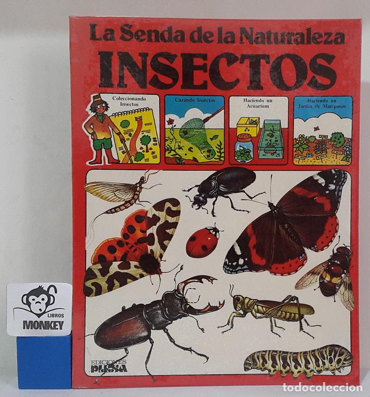 Libros: Insectos. La Senda de la Naturaleza - Ruth Thomson - Foto 1