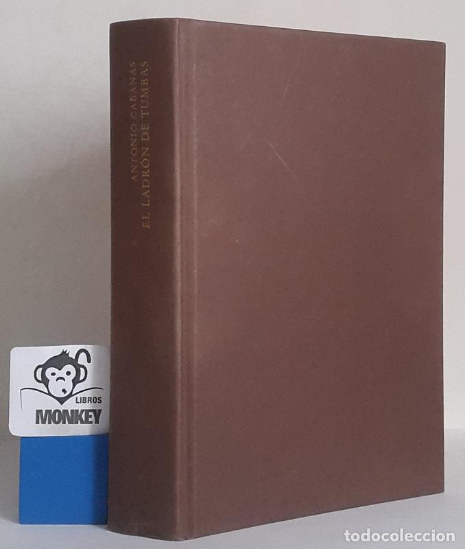 Libros: El ladr&oacute;n de tumbas - Antonio Cabanas - Foto 1