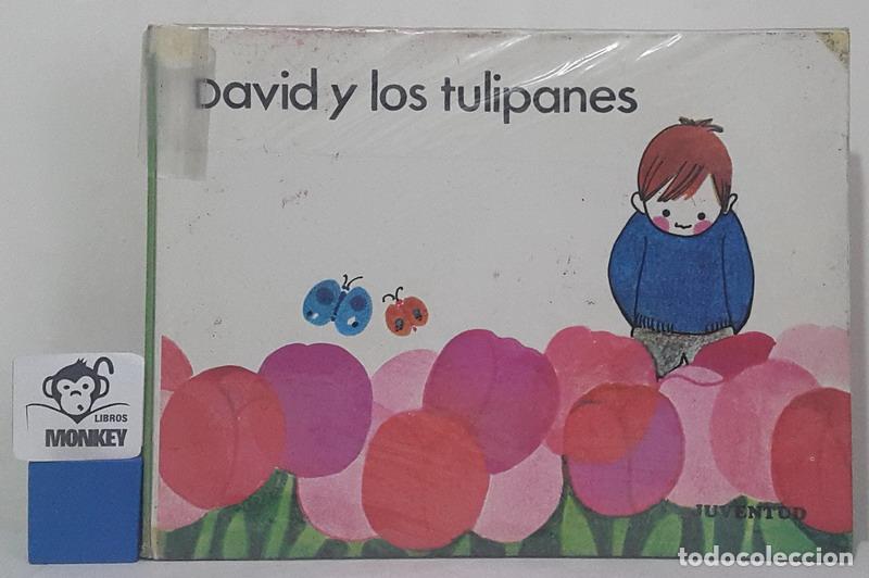 Libros: David y los tulipanes - Amelia Benet - Foto 1
