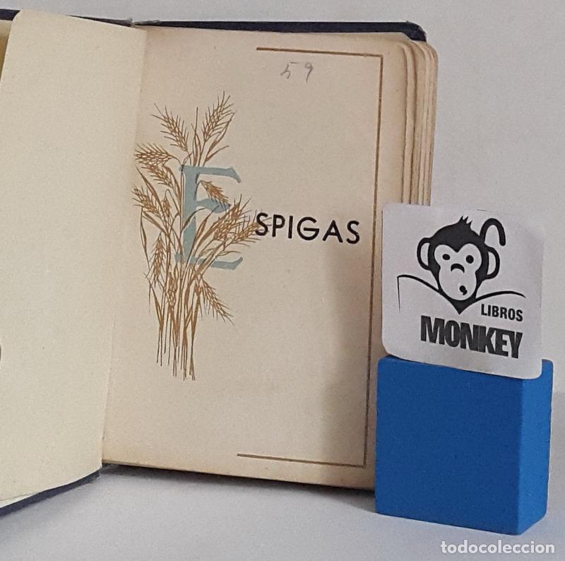 Libros: Espigas - Emilio S&aacute;nchez - Foto 2