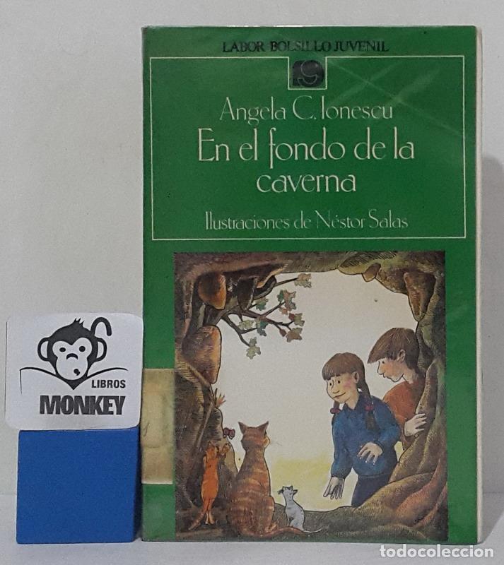 Libros: En el fondo de la caverna - Angela C. Ionescu - Foto 1