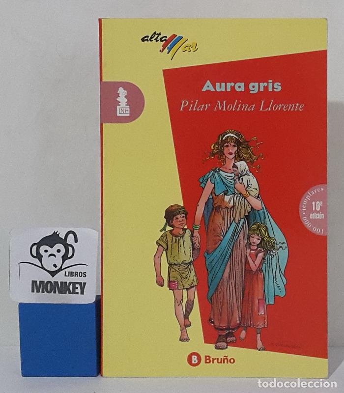 Libros: Aura gris - Pilar Molina Llorente - Foto 1