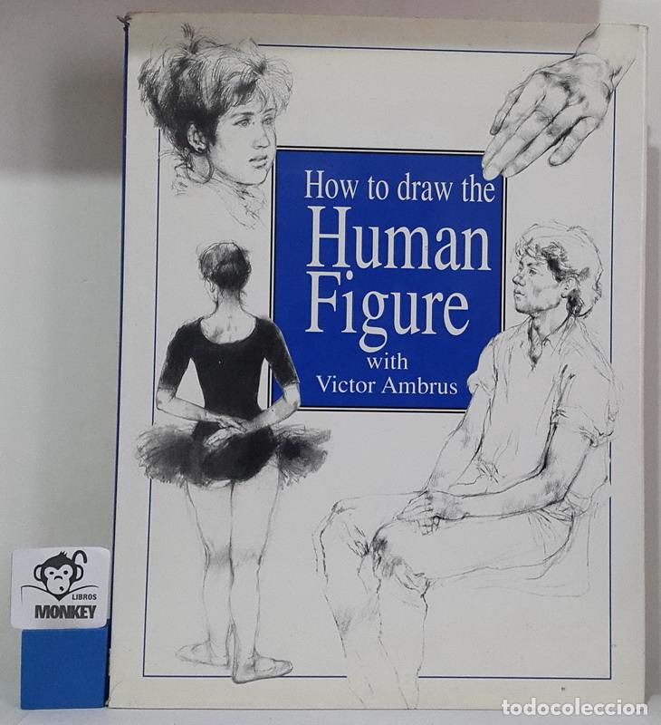 Libros: How to draw the Human Figure - Victor Ambrus - Foto 1