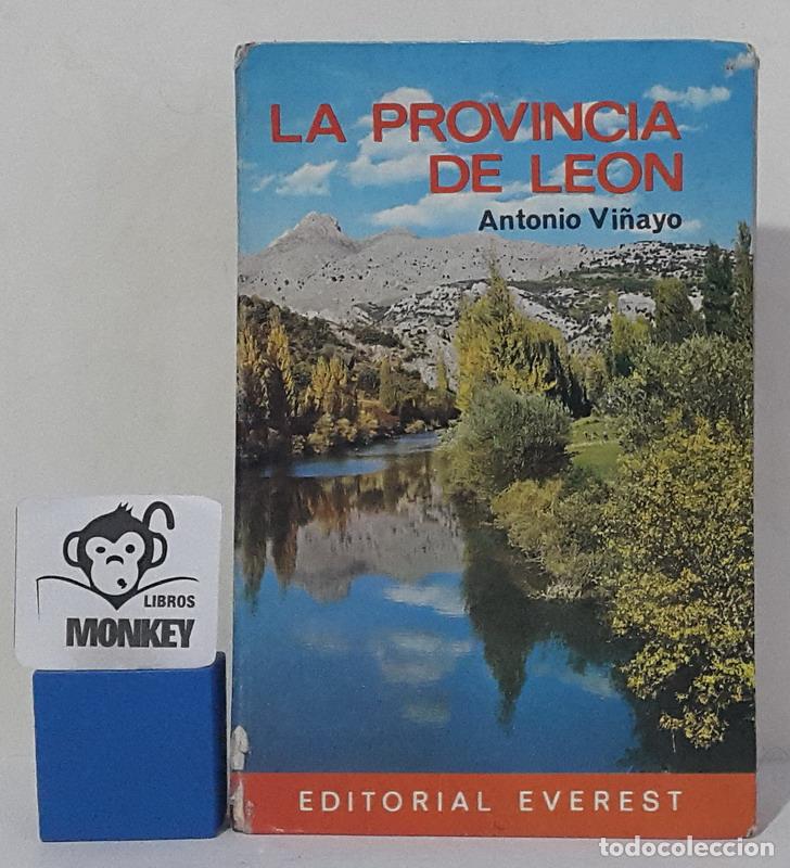 Libros: La provincia de Le&oacute;n - Antonio Vi&ntilde;ayo - Foto 1