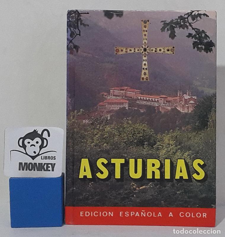 Libros: Asturias - Antonio Vi&ntilde;ayo - Foto 1