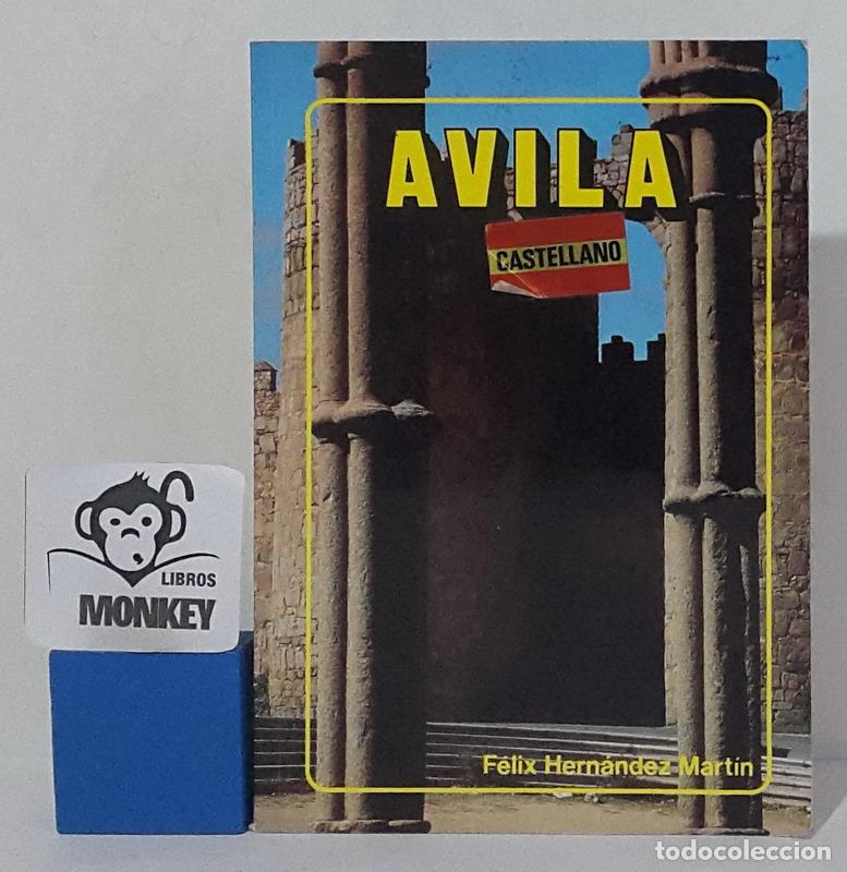 Libros: &Aacute;vila - F&eacute;lix Hern&aacute;ndez Mart&iacute;n - Foto 1