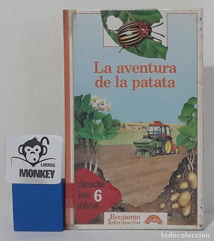 Libros: La aventura de la patata - Rapha&euml;lle Brice - Foto 1