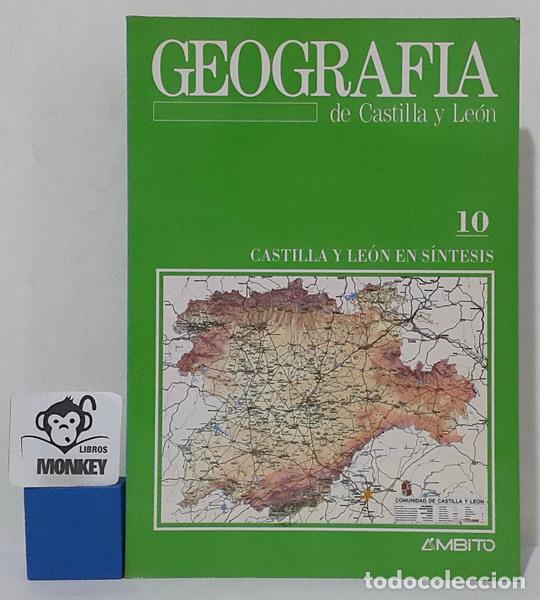 Libros: Geograf&iacute;a de Castilla y Le&oacute;n 10. Castilla y Le&oacute;n en s&iacute;ntesis - VV.AA - Foto 1
