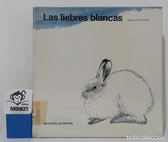 Libros: Las liebres blancas - Janet y Livio Marzot - Foto 1