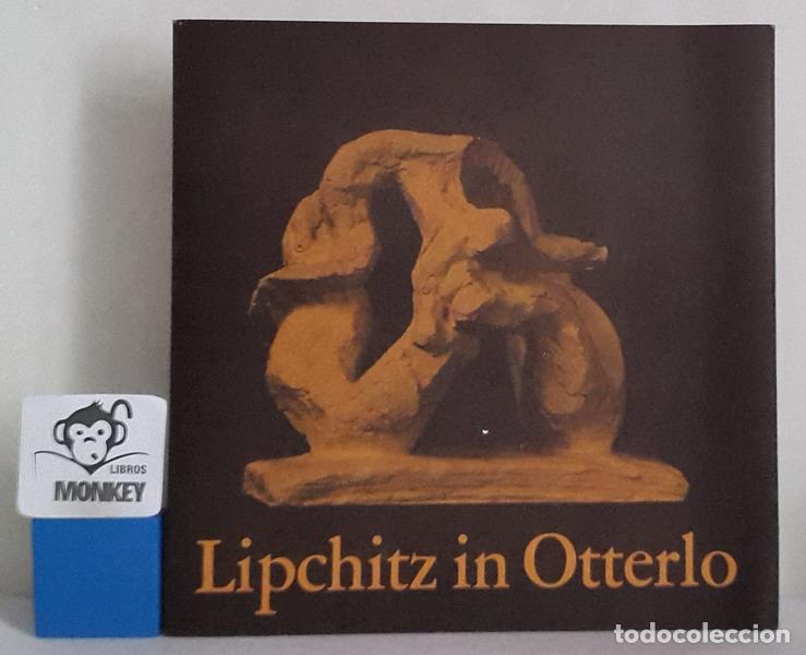 Libros: Lipchitz in Otterlo. Cat&aacute;logo exposici&oacute;n - A. M. Hammacher - Foto 1