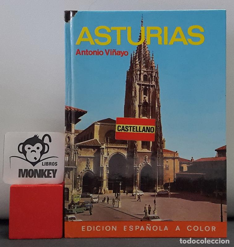 Libros: Asturias - Antonio Vi&ntilde;ayo - Foto 1