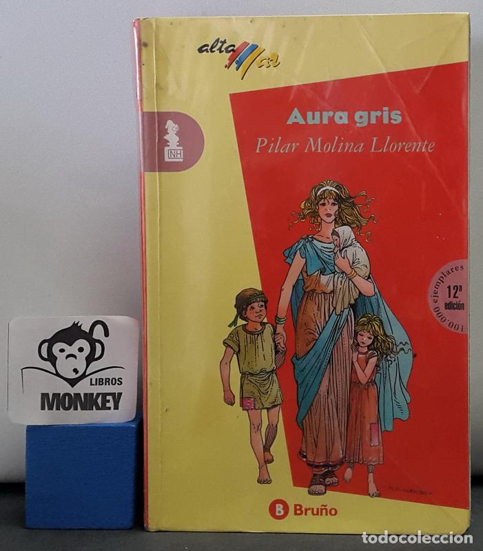 Libros: Aura gris - Pilar Molina Llorente - Foto 1