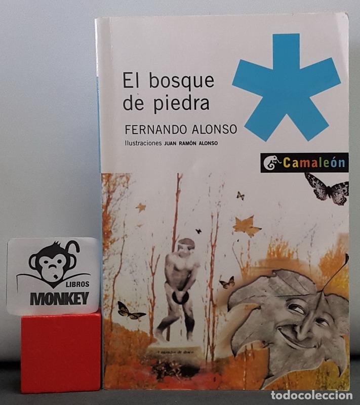 Libros: El bosque de piedra - Fernando Alonso - Foto 1