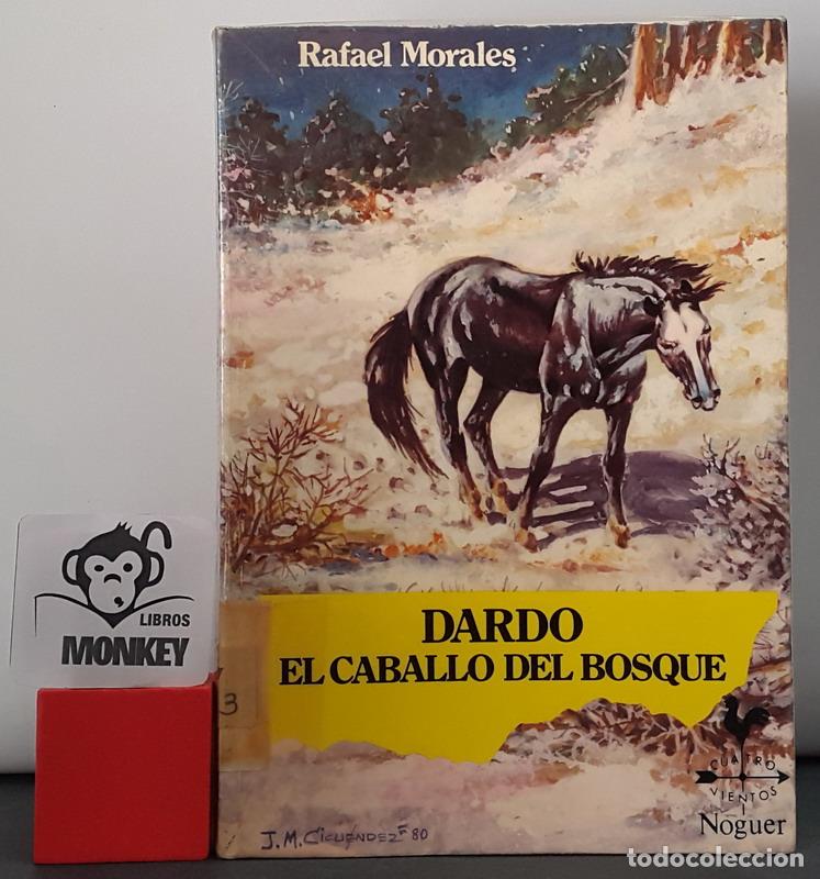 Libros: Dardo, el caballo del bosque - Rafael Morales - Foto 1