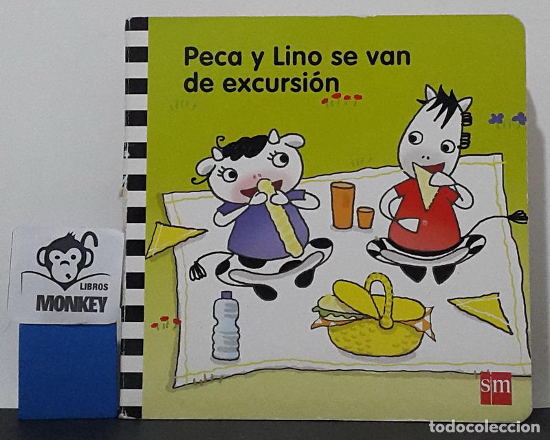 Libros: Peca y Lino se van de excursi&oacute;n - Carmen Gil - Foto 1
