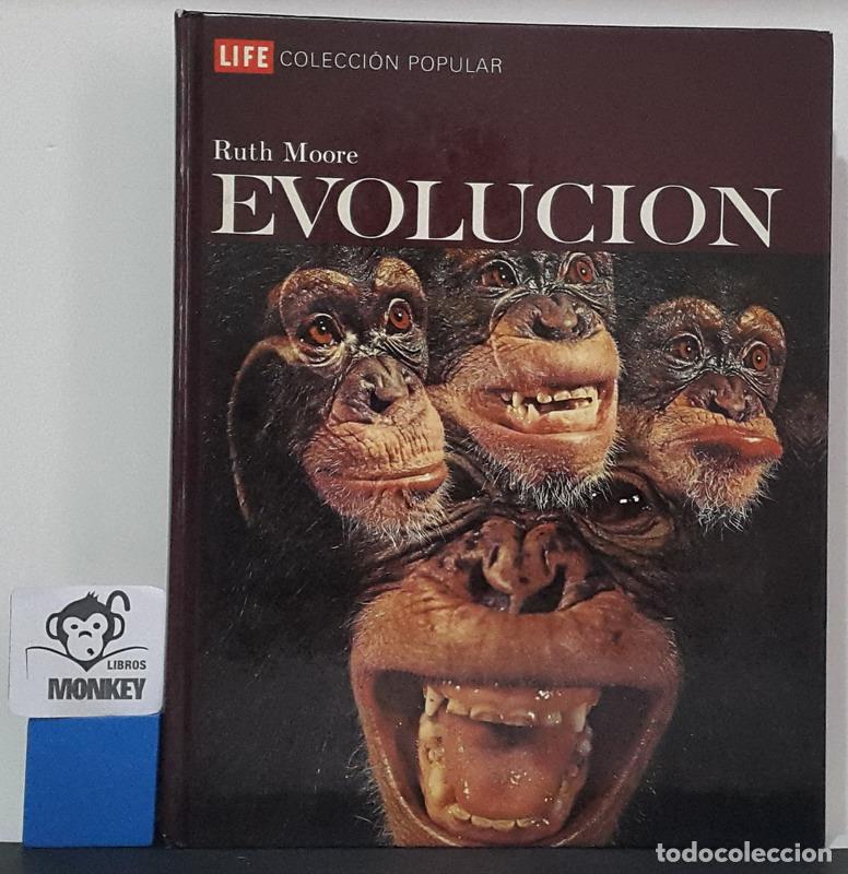 Libros: Evoluci&oacute;n - Ruth Moore - Foto 1