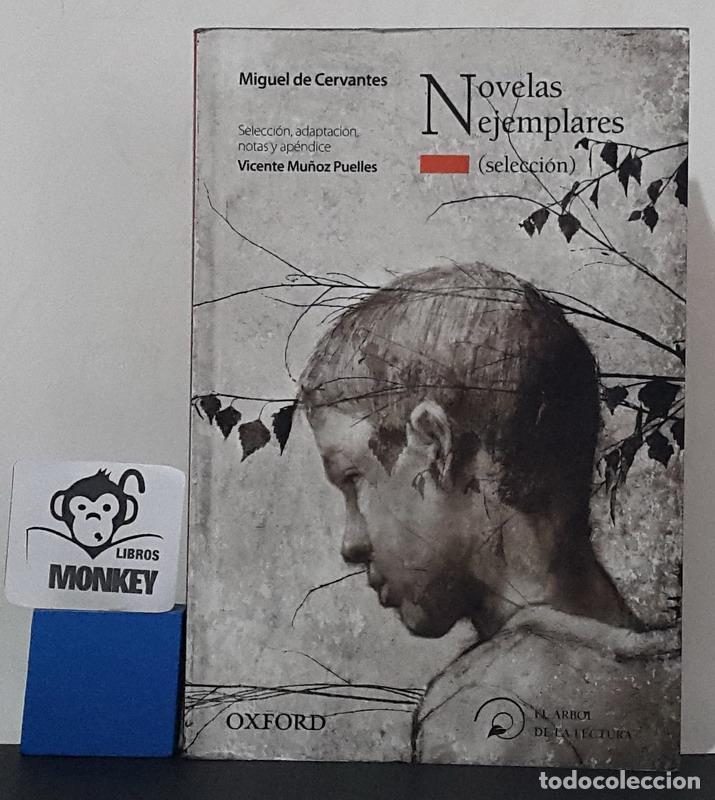 Libros: Novelas ejemplares (selecci&oacute;n) - Miguel de Cervantes - Foto 1