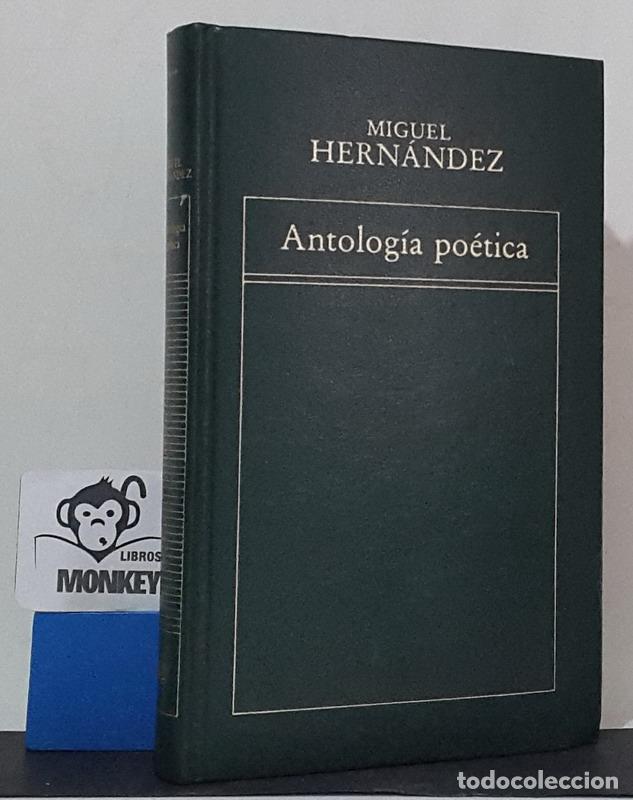 Libros: Antolog&iacute;a po&eacute;tica - Miguel Hern&aacute;ndez - Foto 1