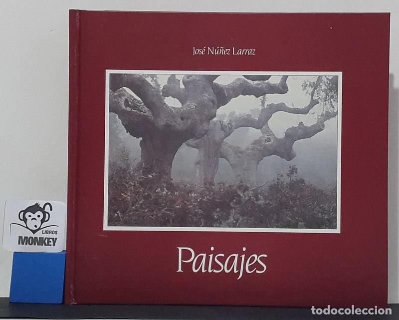 Libros: Paisajes - Jos&eacute; N&uacute;&ntilde;ez Larraz - Foto 1