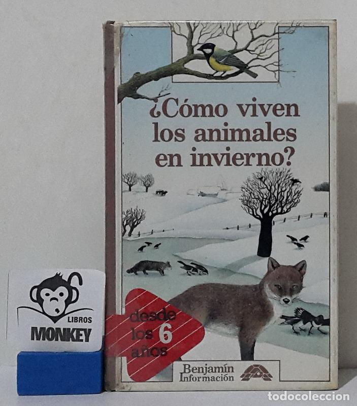 Libros: &iquest; C&oacute;mo viven los animales en invierno? - Catherine de Sairign&eacute; - Foto 1