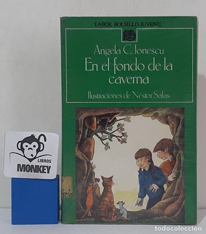 Libros: En el fondo de la caverna - Angela C. Ionescu - Foto 1