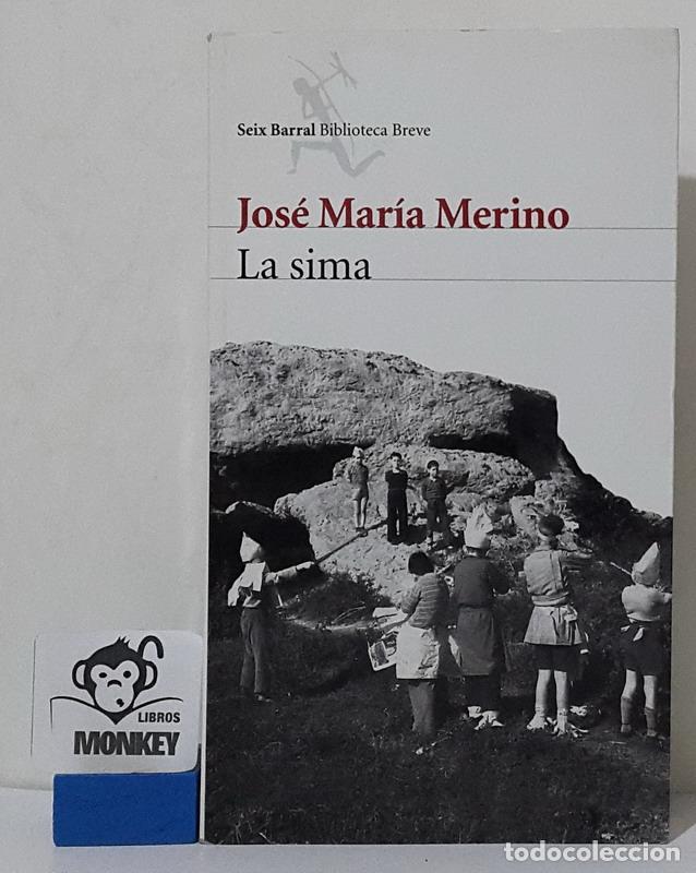 Libros: La sima - Jos&eacute; Mar&iacute;a Merino - Foto 1